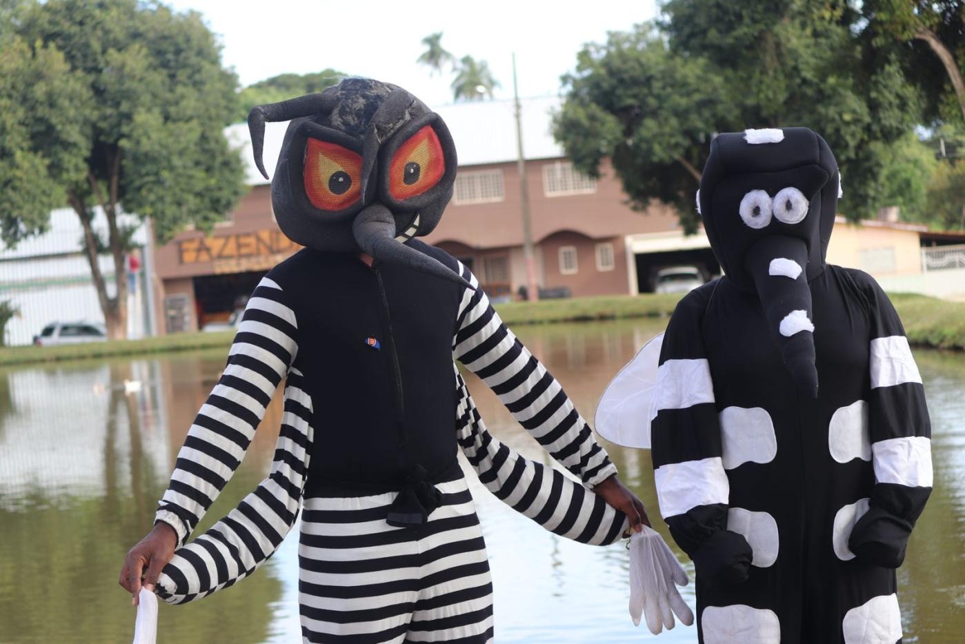 Todos Contra a Dengue